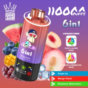 dh-vape-eu-warehouse-bang-leader-110k-grape-ice-&-mango-peach-&-blueberry-watermelon