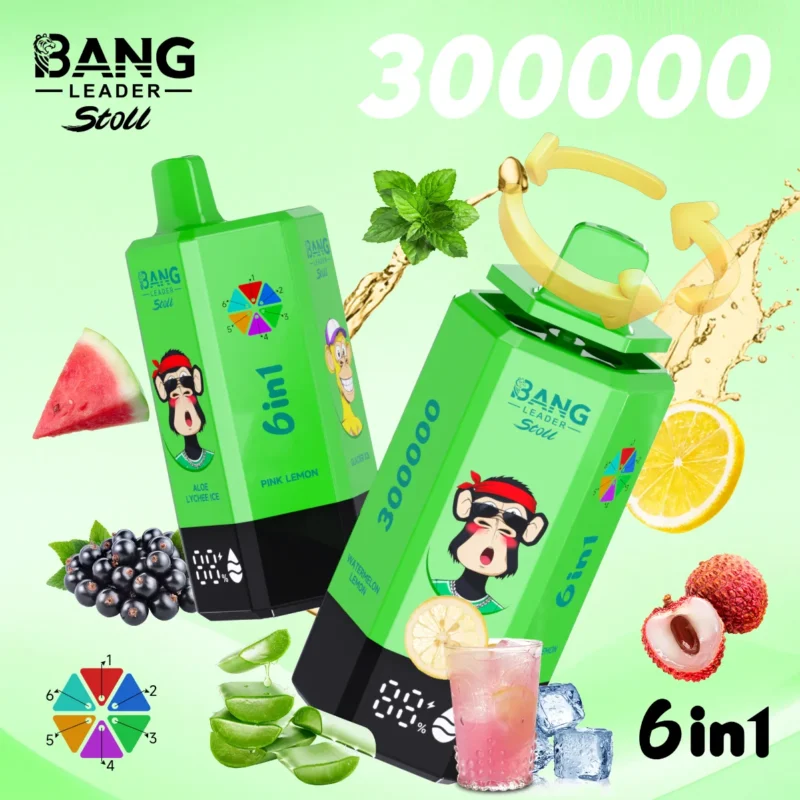 dh-vape-eu-warehouse-bang-leader-300k-puff-aloe-lychee-ice-pink-lemon-glacier-ice-pine-needle-mint-black-currant-ice-watermelon-lemon