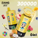 dh-vape-eu-warehouse-bang-leader-300k-puff-pineapple-coconut-blue-razz-mixed-berries-mango-peach-blueberry-raspberry-strawberry-vanilla-coke