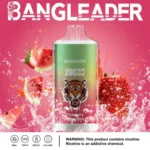 Dh Vape Eu Warehouse Disposable 1783587509