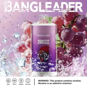 dh-vape-puff-20k-bang-leader-20000-grape-ice-