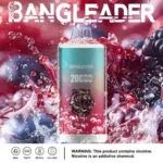 Dh Vape Puff 20k Disposable design