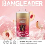 Dh Vape Puff 20k Disposable detail