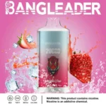 Dh Vape Puff 20k Disposable
