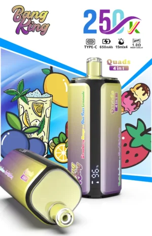 dh-vape-bang-king-250k-puff-250000-eu-warehouse-strawberry-mango-blue-razz-lemonade