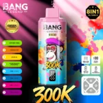 dh-vape-eu-warehouse-bang-legend-300k-puff-summer-time-mango-ice-love-66-sour-mango-pincapple