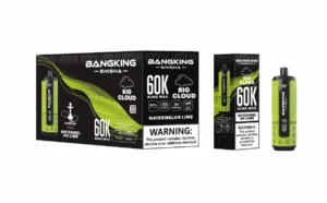 Dh Vape Eu Warehouse Disposable view