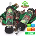 Dhvape Bang Blaze Puffs Disposable Vape design 2