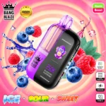 Bang Blaze 250K disposable vape in Blueberry Raspberry flavor featuring a black and purple design with a digital monkey mascot.
